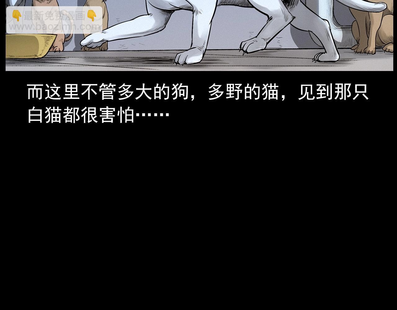 🍛枪爷异闻录 第412话 双瞳猫 第27页