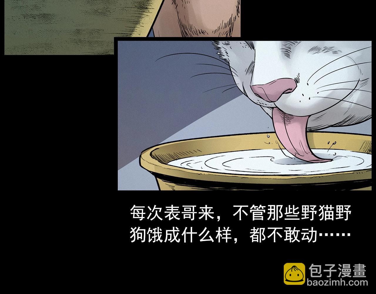 🍛枪爷异闻录 第412话 双瞳猫 第29页