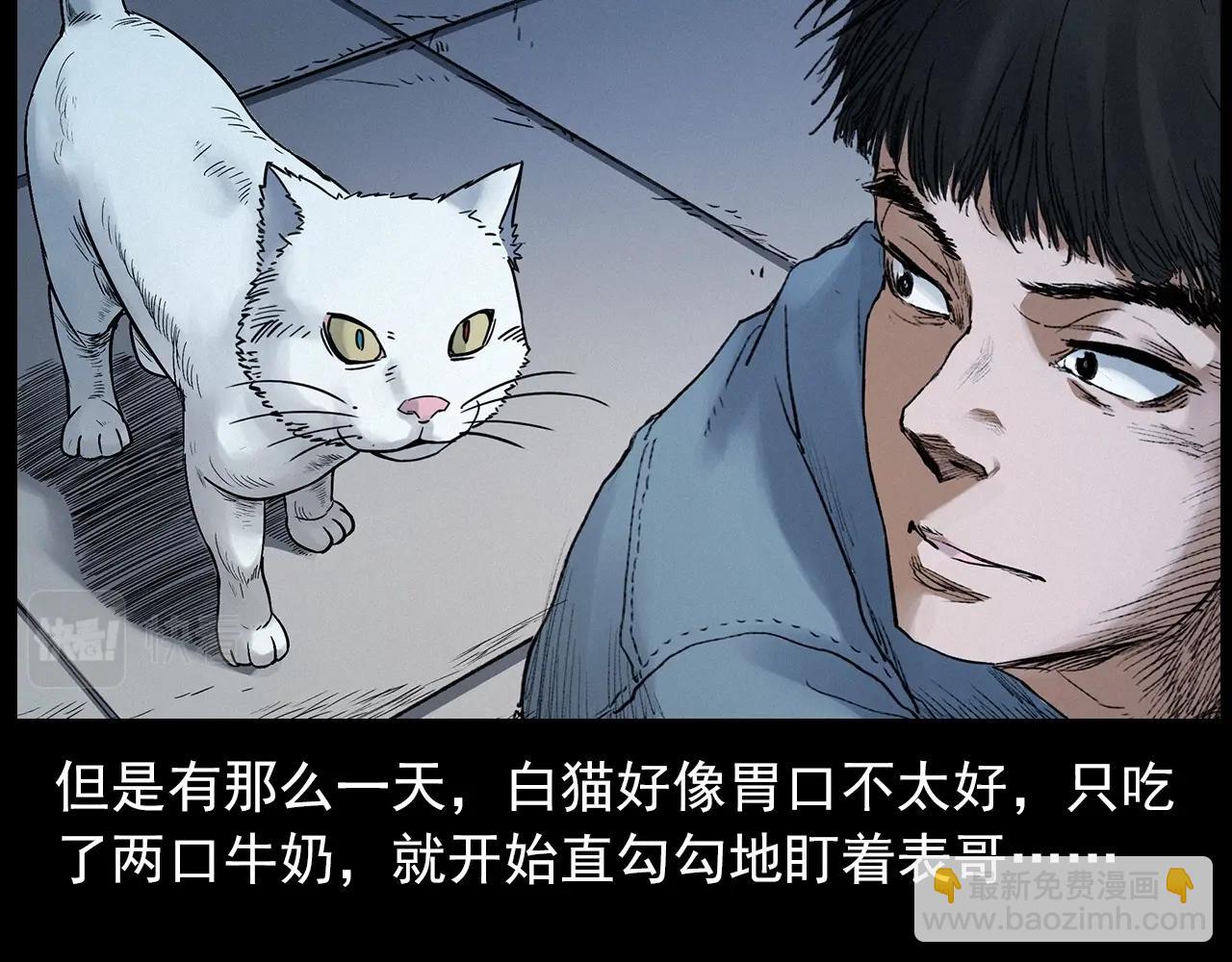 🍛枪爷异闻录 第412话 双瞳猫 第33页