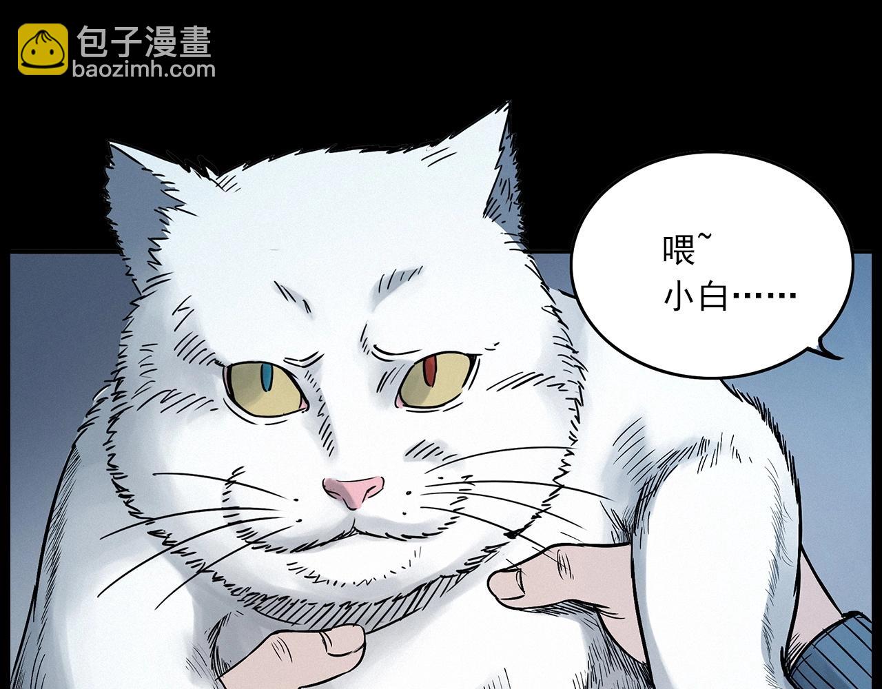 🍛枪爷异闻录 第412话 双瞳猫 第35页
