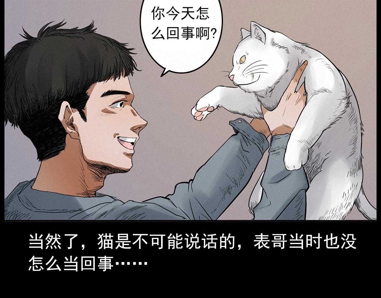 🍛枪爷异闻录 第412话 双瞳猫 第37页