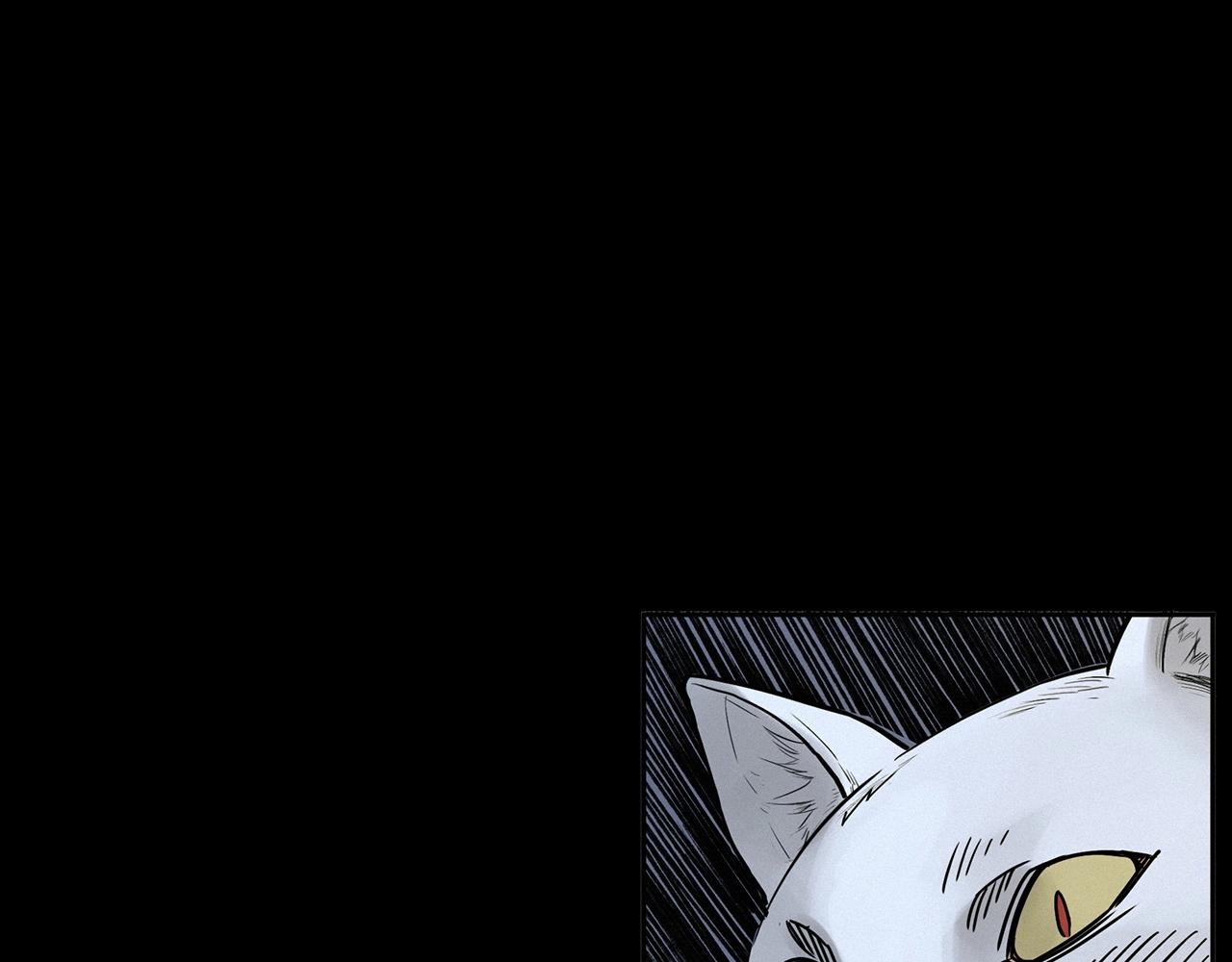 🍛枪爷异闻录 第412话 双瞳猫 第38页