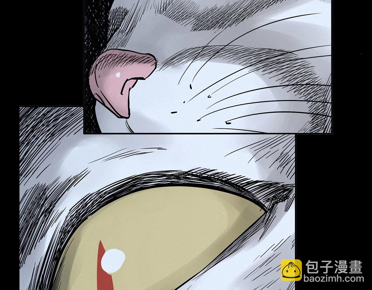 🍛枪爷异闻录 第412话 双瞳猫 第40页