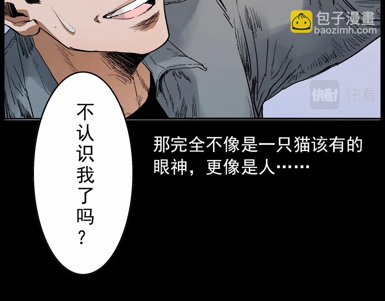 🍛枪爷异闻录 第412话 双瞳猫 第43页
