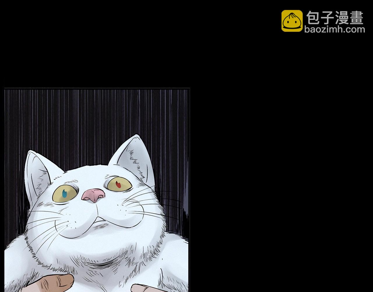 🍛枪爷异闻录 第412话 双瞳猫 第44页