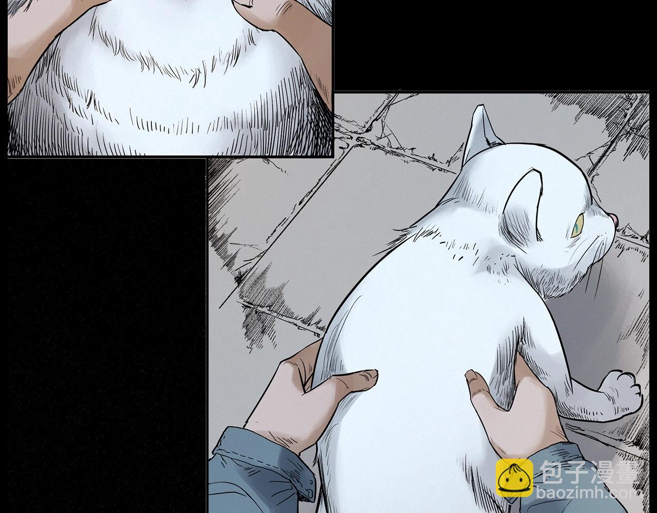 🍛枪爷异闻录 第412话 双瞳猫 第45页