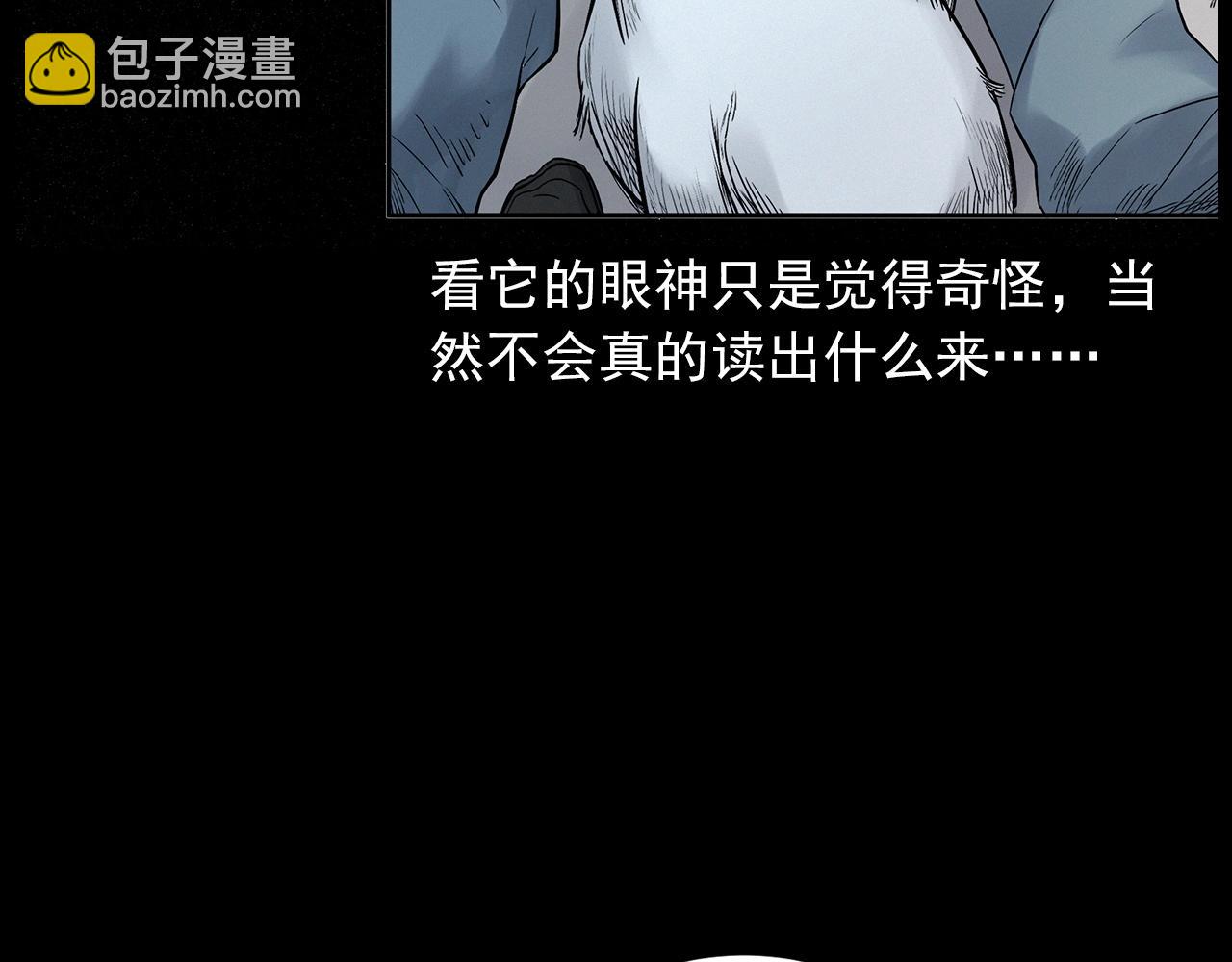 🍛枪爷异闻录 第412话 双瞳猫 第46页