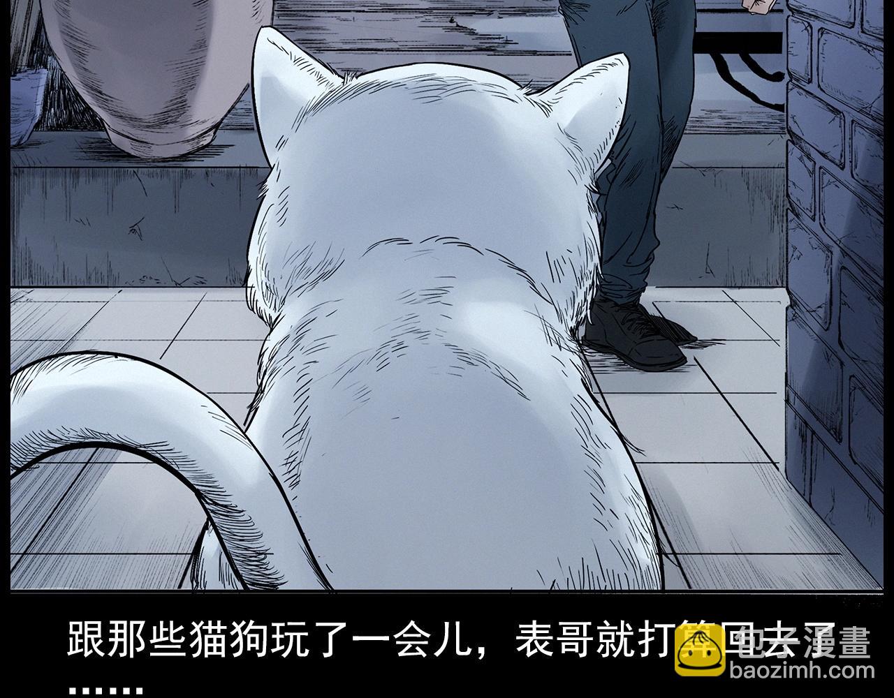 🍛枪爷异闻录 第412话 双瞳猫 第48页