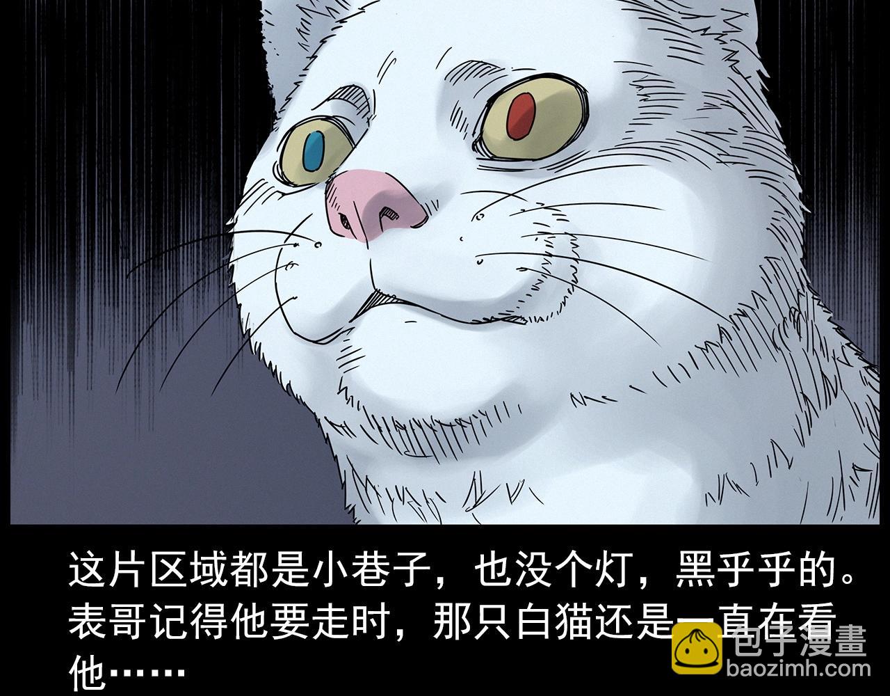 🍛枪爷异闻录 第412话 双瞳猫 第50页