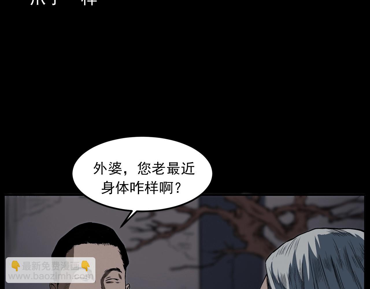 🍛枪爷异闻录 第428话 外婆 第15页
