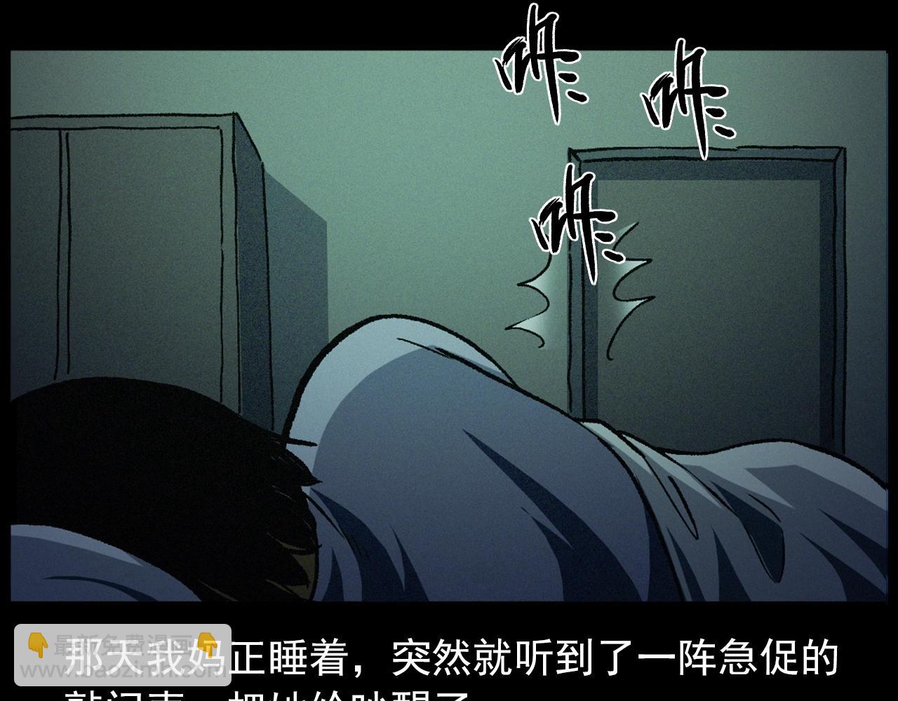 🍛枪爷异闻录 第430话 阴阳眼刘婶 第22页