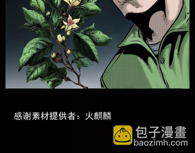 🍛枪爷异闻录 第6话 迷魂草 第3页