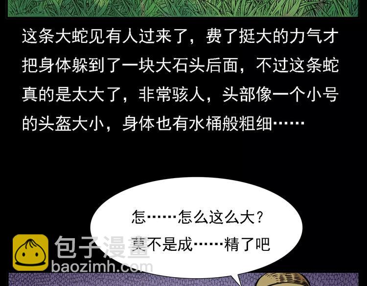 🍛枪爷异闻录 第8话 大蛇的报复 第15页