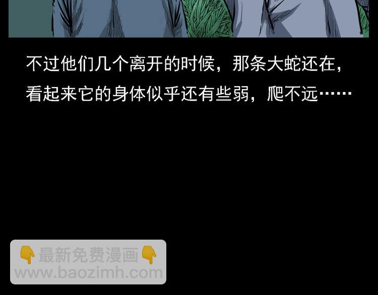 🍛枪爷异闻录 第8话 大蛇的报复 第22页