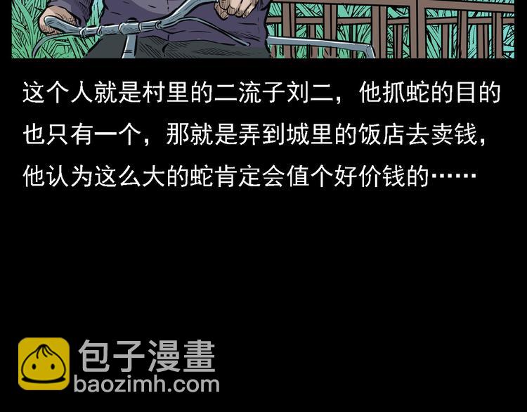 🍛枪爷异闻录 第8话 大蛇的报复 第28页