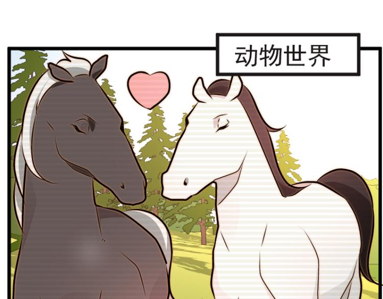 第12话-第12话