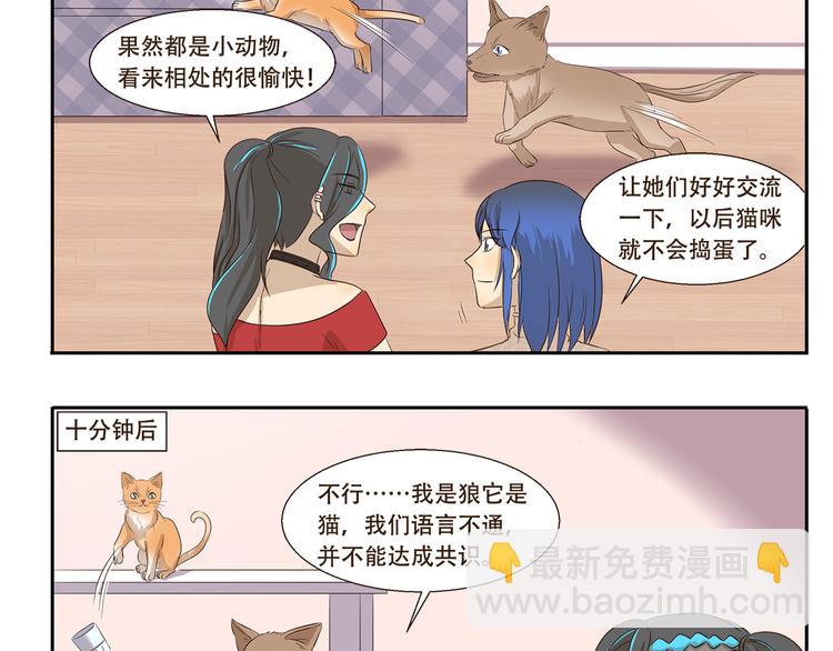 第170话 猫界时尚大师-第170话