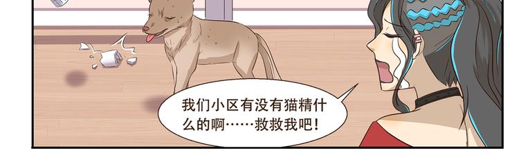 第170话 猫界时尚大师-第170话