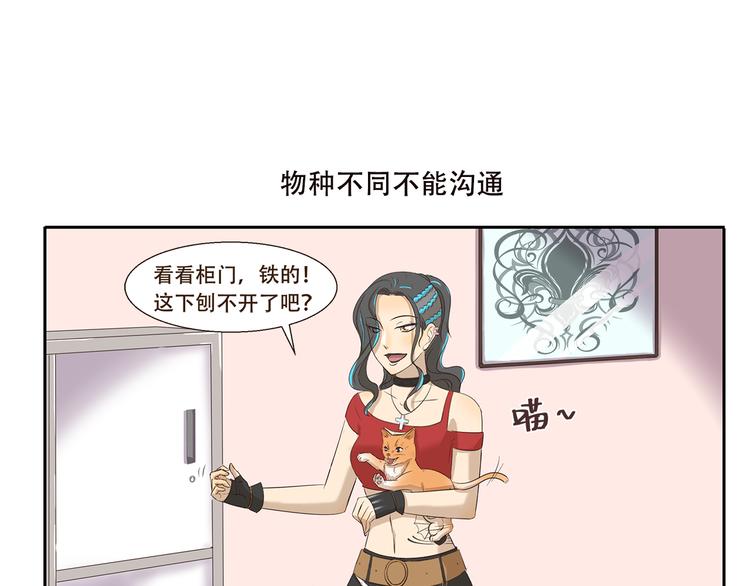 第170话 猫界时尚大师-第170话