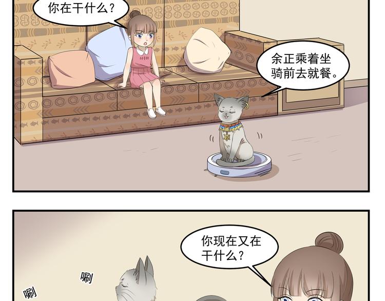 第430话  猫咪习性-第430话