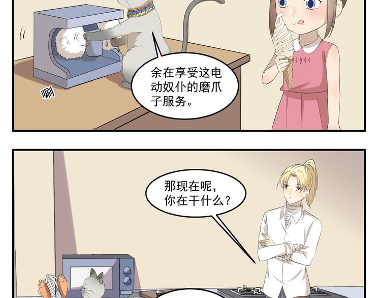 第430话  猫咪习性-第430话