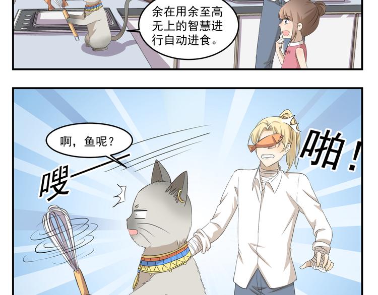 第430话  猫咪习性-第430话