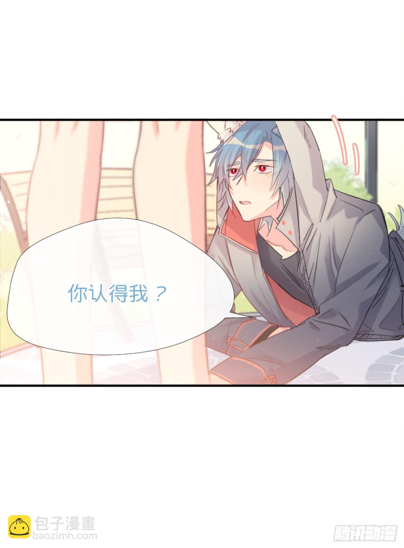◆01上◆ 犬、犬科！-第2话