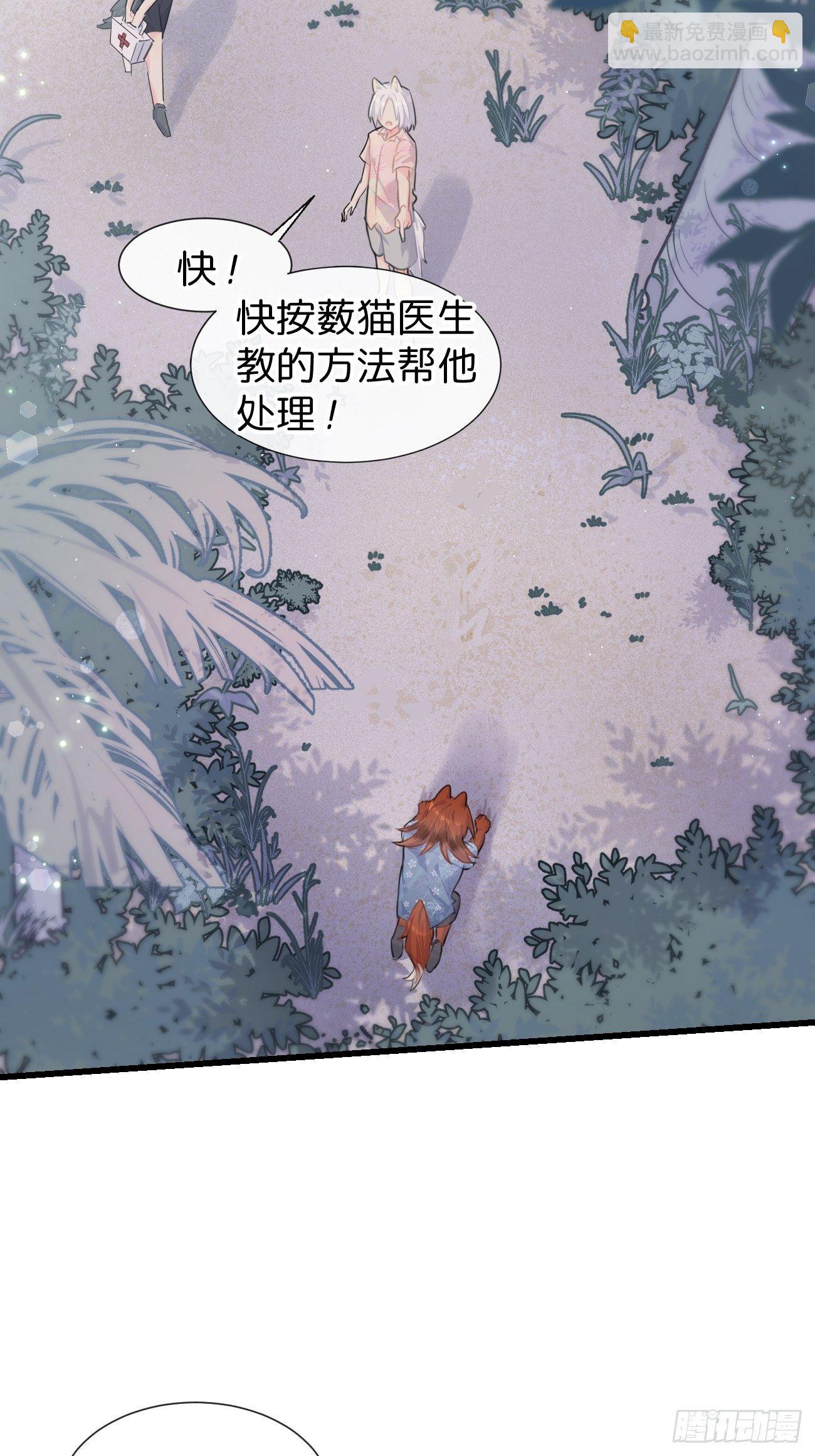 ◆29◆ 结(1/2)-第68话