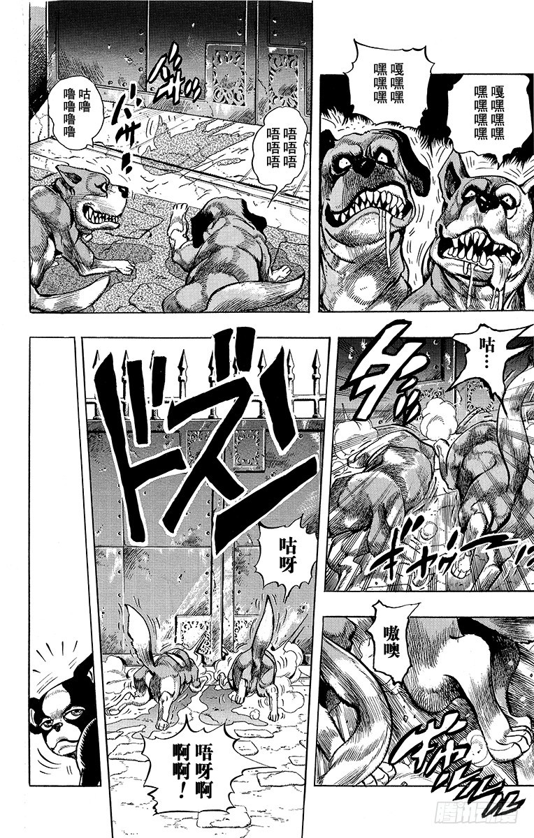 🍛乔乔的奇妙冒险 第222话 第12页