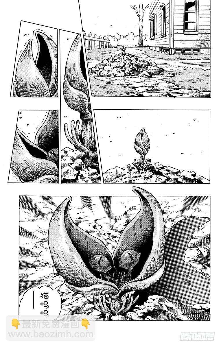🍛乔乔的奇妙冒险 第392话 第19页