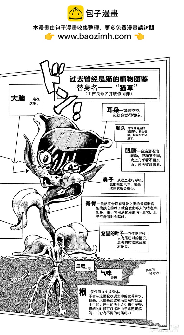 🍛乔乔的奇妙冒险 第396话 第2页