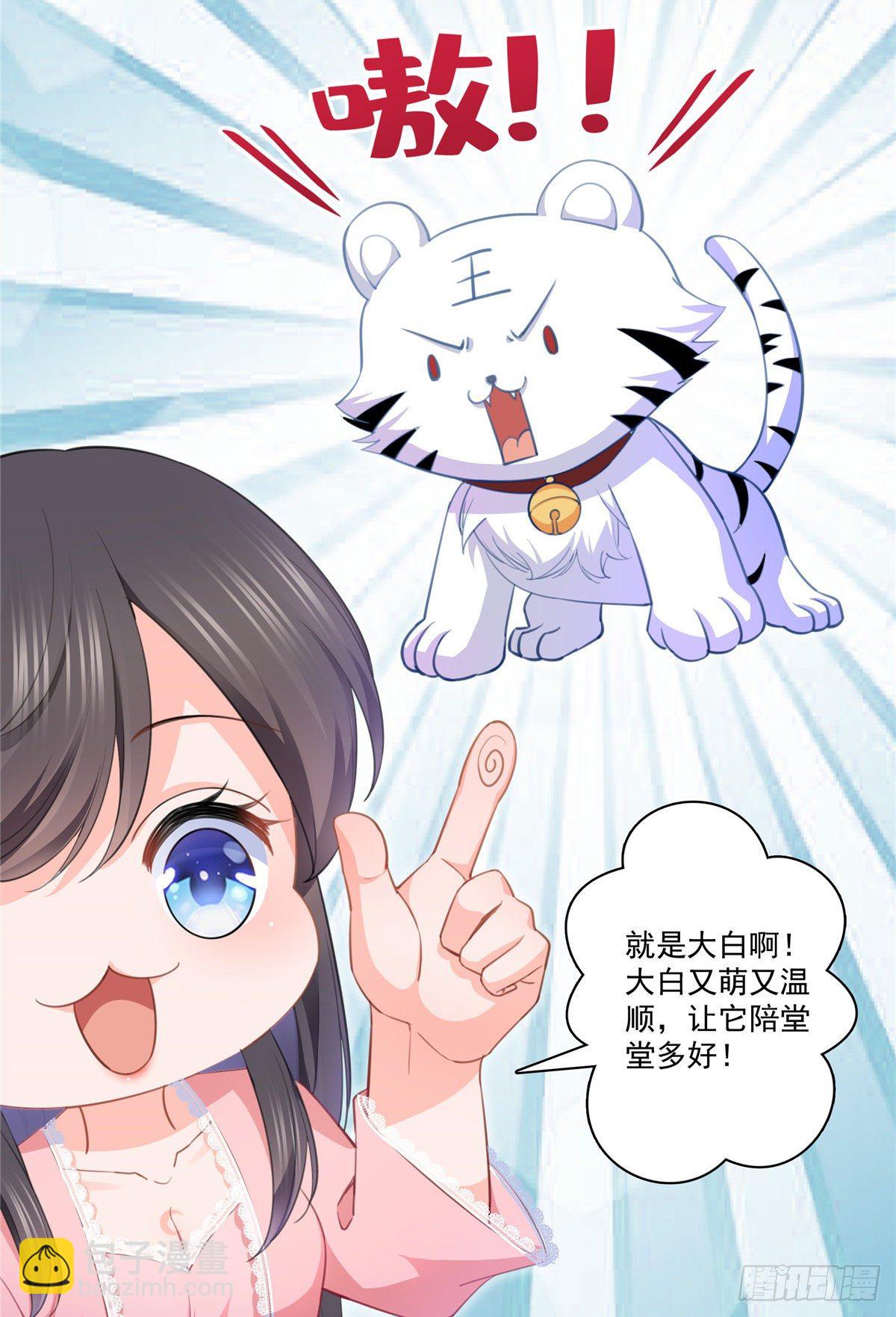 第207话 大白这么可爱-第208话