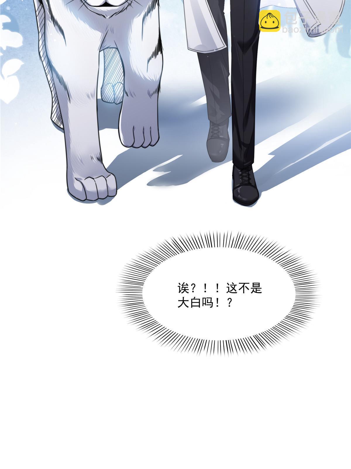 第277话 也是你的宠物(1/2)-第280话