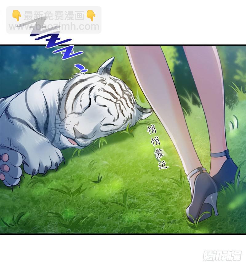 第六十七话 自由的条件-第68话