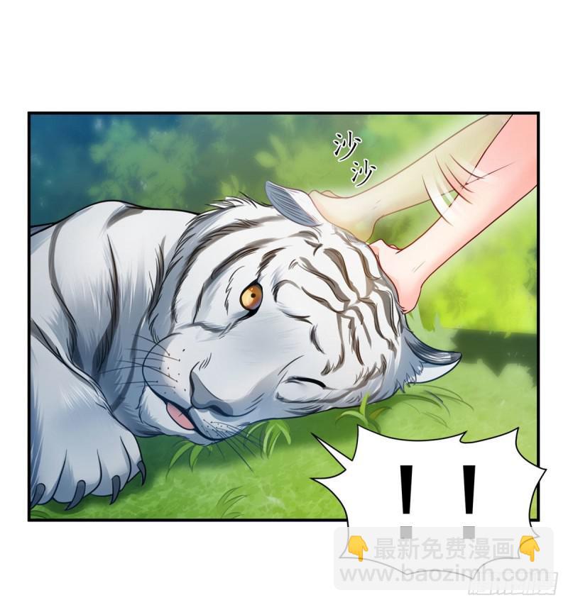 第六十七话 自由的条件-第68话