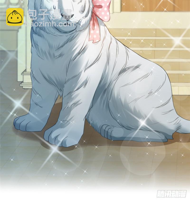 第七十一话 猎物进套(1/2)-第72话