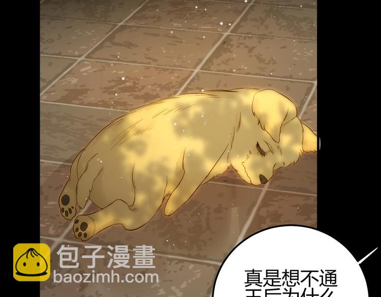 第35话  奥朗则布的过去(1/5)-第38话