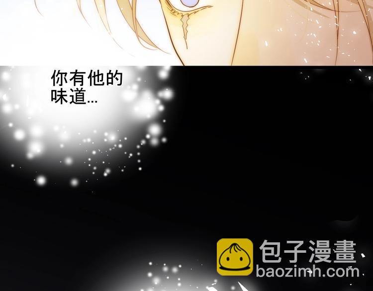 第41话  舍身(1/3)-第44话