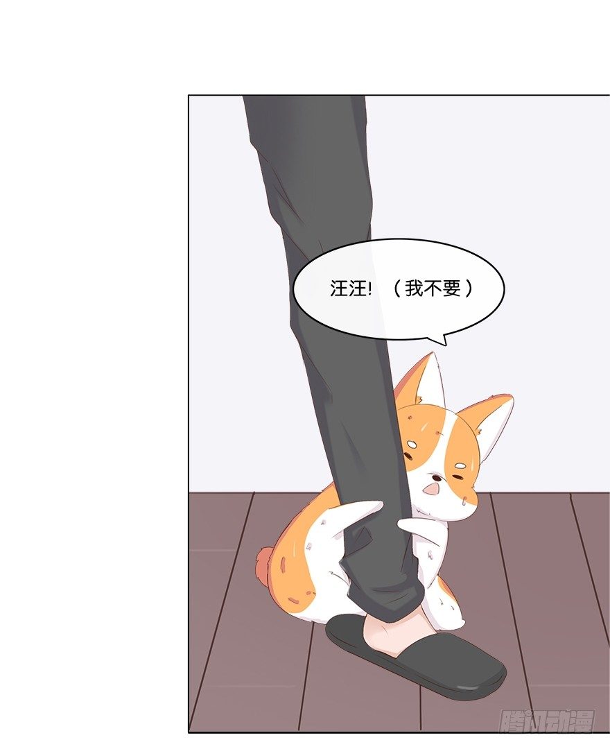我的告白（二）-第30话