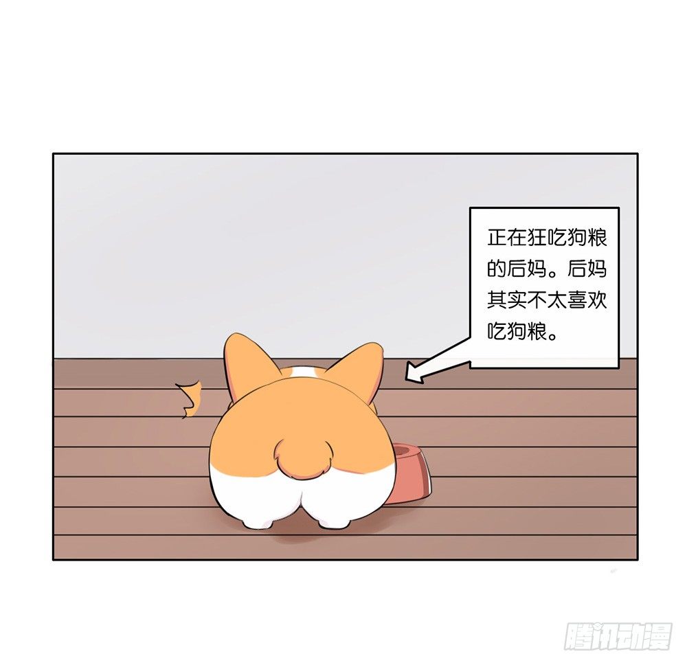 懒散的夏日（上）-第4话
