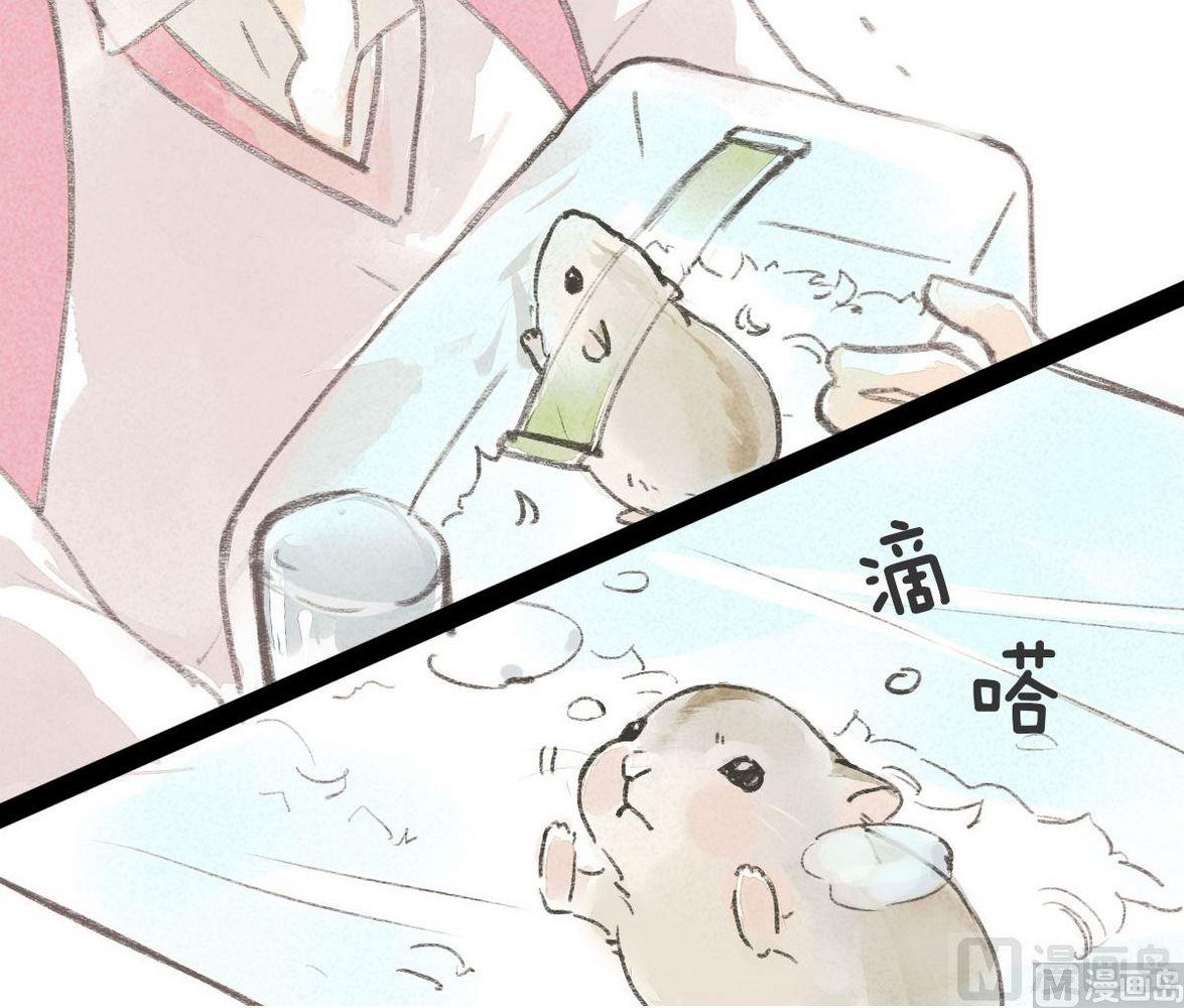第28话他说：仓鼠成精了(1/2)-第28话