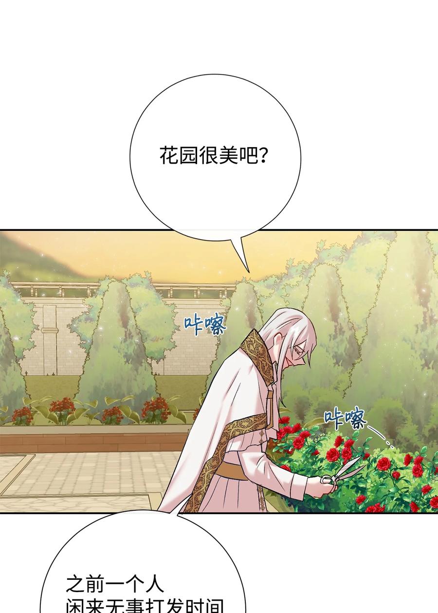 047 教皇的花园(1/2)-第48话