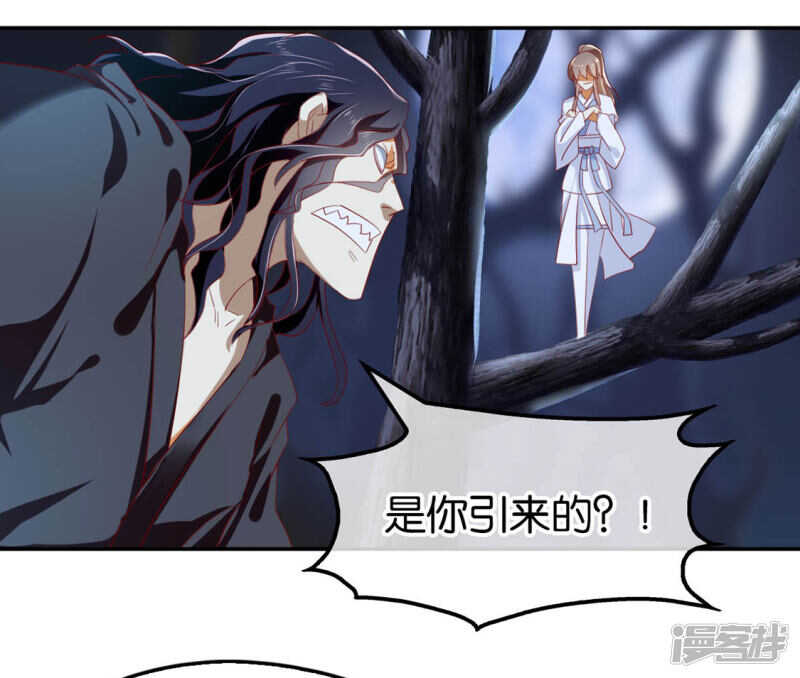 第44话 打不死的小强-第202话