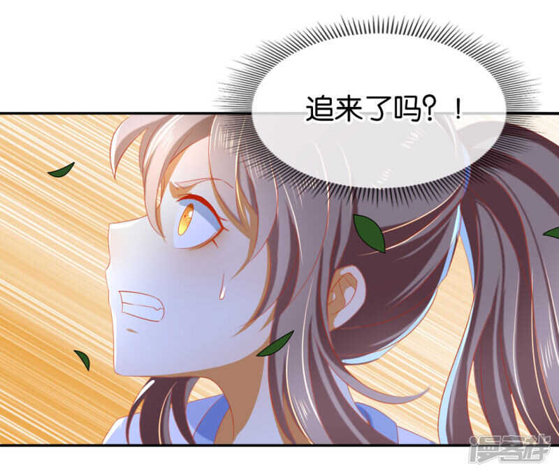 第44话 打不死的小强-第202话