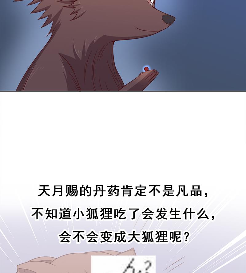 🍛倾城之上 第218话 天月赐药 第50页