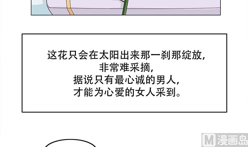 🍛倾城之上 第236话 战王的红桑花 第24页