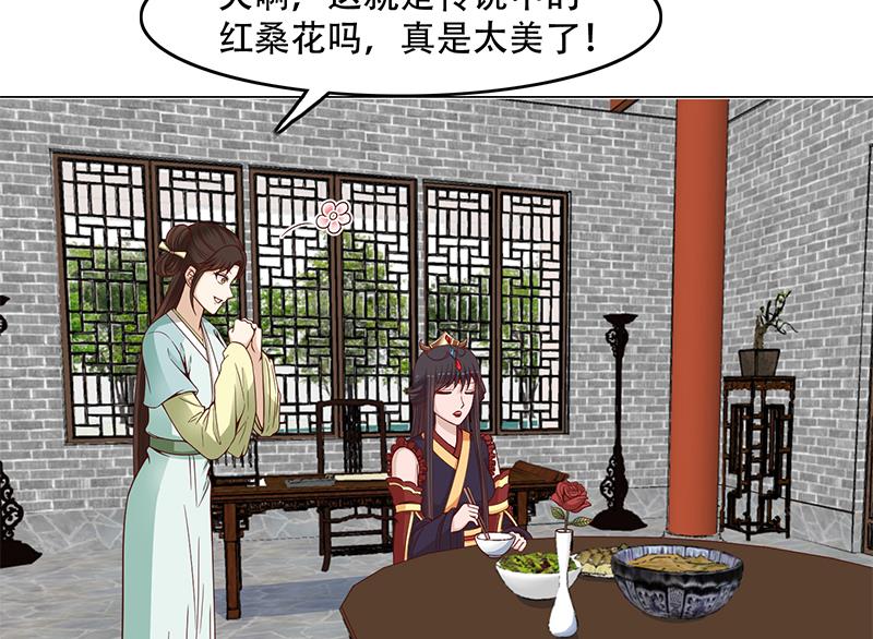 🍛倾城之上 第236话 战王的红桑花 第28页