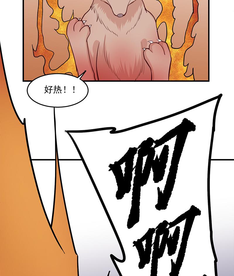 🍛倾城之上 第256话 胡小毛进阶！ 第25页