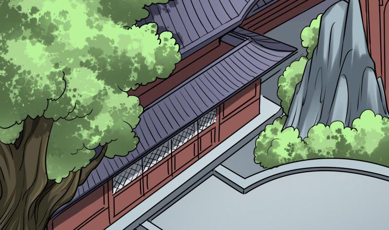 🍛倾城之上 第268话 花老太太 第4页