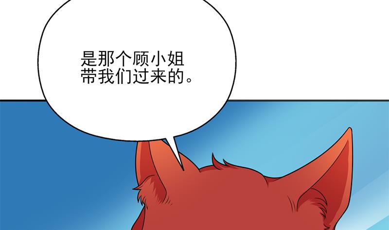 🍛倾城之上 第332话 狐血族！ 第43页